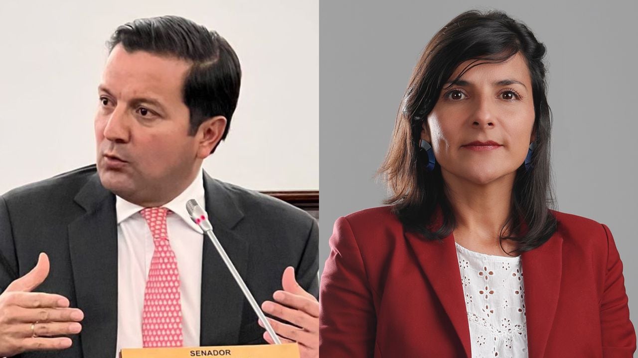 Senador David Luna y ministra Irene Vélez.
