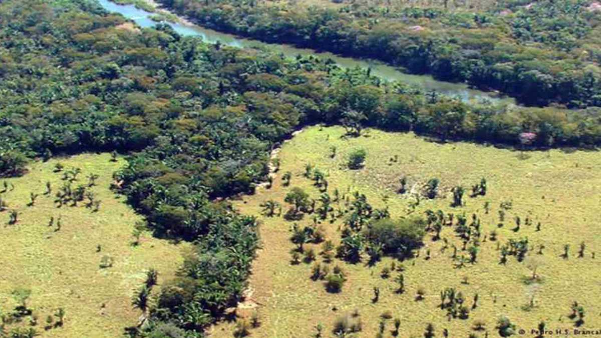 La deforestación es una de las mayores amenazas que enfrenta la Amazonia colombiana. Foto: archivo particular.