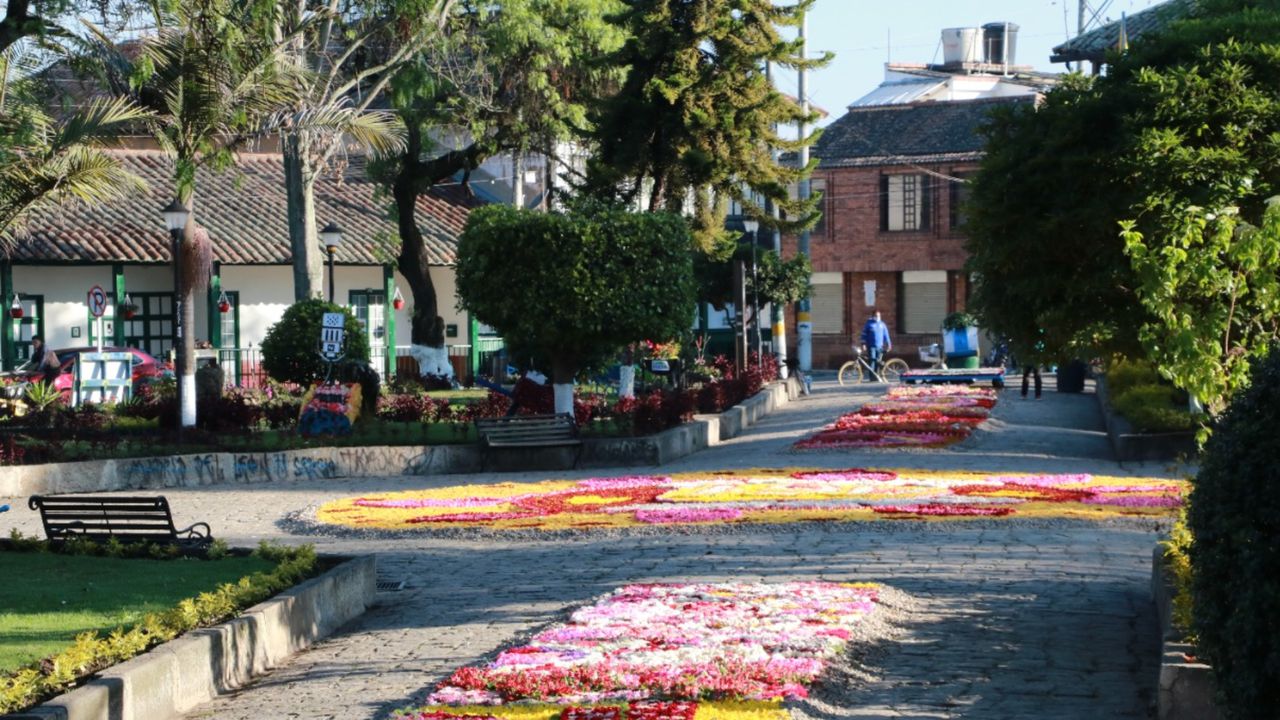 Este año y como es tradición, el municipio celebrará  su  cumpleaños 462 con la X versión del festival, que contará con una exposición de tapetes y esculturas en flores.