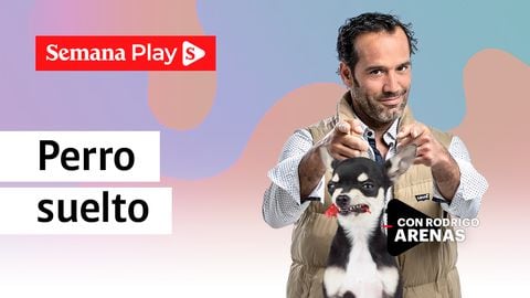 Perro suelto | Rodrigo Arenas en EduCANdo Manadas