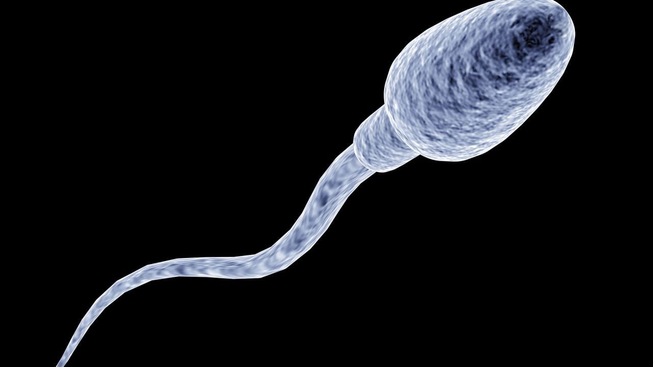 Son varios alimentos que pueden afectar la calidad del esperma. -Foto: Getty Images.