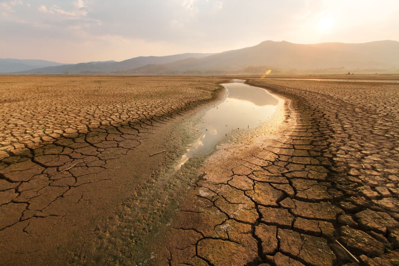 Sequía / Fenómeno del El Niño