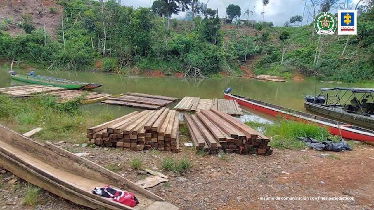 Importante golpe a red de tala ilegal en el Parque Natural Paramillo: capturadas 22 personas por arrasar con más de ocho hectáreas