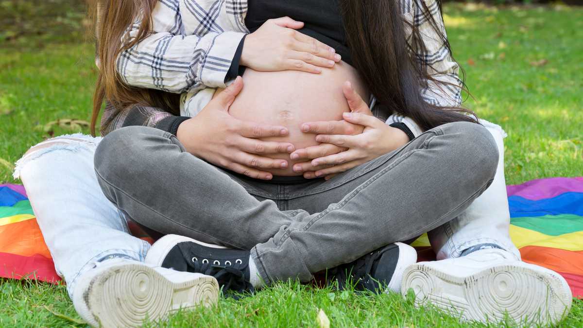 Portrait of an unrecognizable affectionate pregnant lesbian couple with rainbow flag, relaxed at the park. Two happy girlfriends. Homosexual relationship. LGBT Community Pride. High quality 4k footage