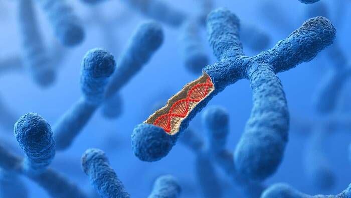 Dos estudios revelaron que la falta de cromosoma Y es un detonante para el desarrollo de tumores cancerígenos en hombres
