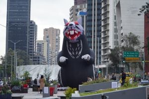 Rata gigante en el centro de Bogotá