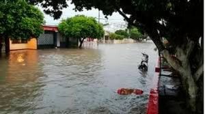 Las fuertes lluvian han causado inundaciones.