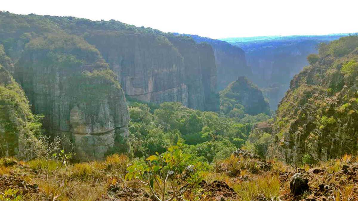 El parque nacional Serranía del Chiribiquete es patrimonio de la humanidad