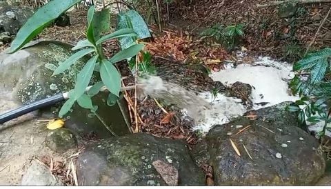 Daño ambiental en la vereda Dominguillo, zona rural de Santander de Quilichao, Cauca