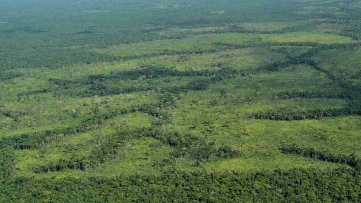 Deforestación en el nororiente del Parque Nacional Sierra de la Macarena. Foto: FCDS.