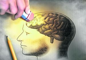 Estudiosos de la Universidad de Nueva York descubrieron en el 2013 que la pérdida de memoria se relaciona con una molécula que actúa en el hipocampo.