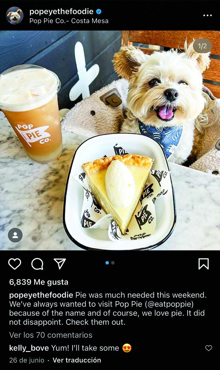 Popeye, la historia del perro foodie