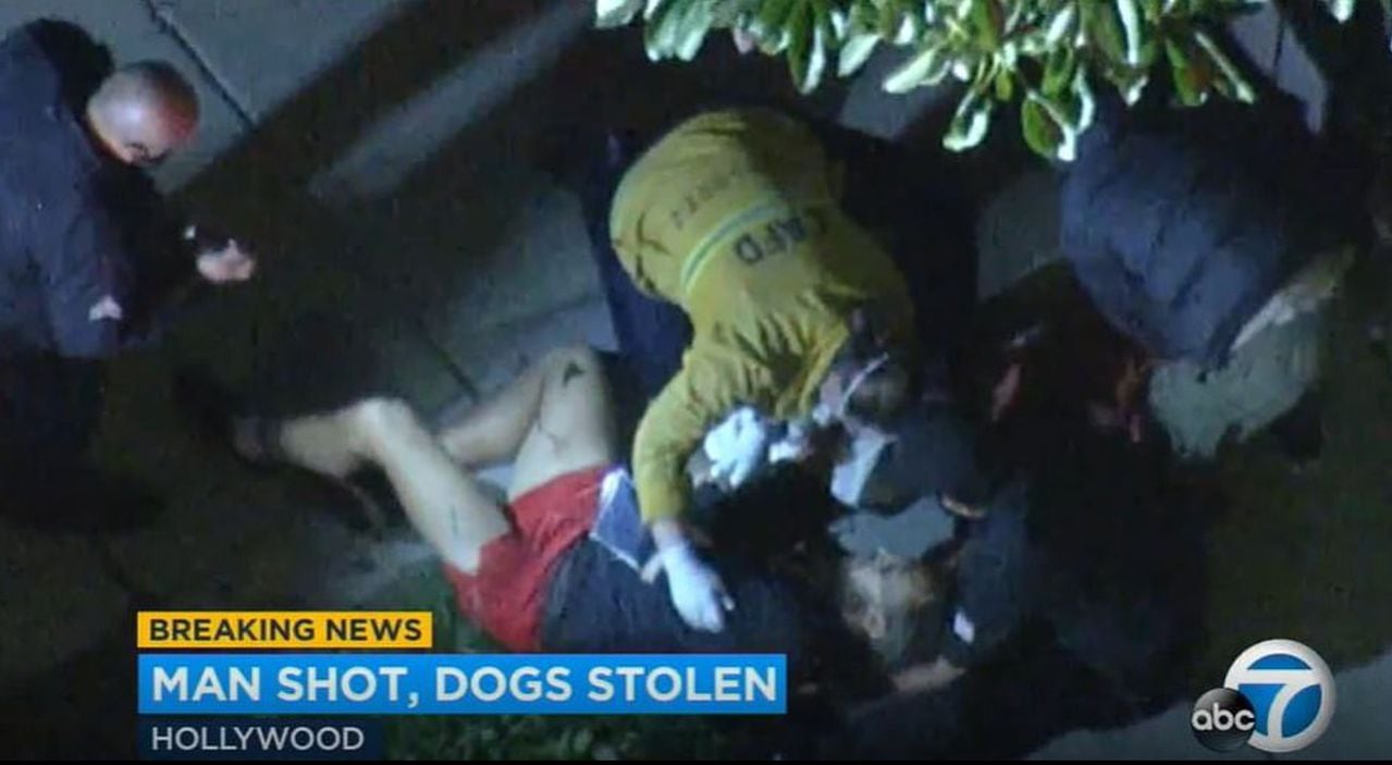 El canal ABC transmitió estas imagenes en que se ve a Ryan Fischer, el paseador de los perros, tendido en el piso, luego de ser herido por los asaltantes. Se cree que recibió 4 disparos.