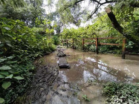 Por las fuertes lluvias, la Secretaría de Ambiente ordenó el cierre de cinco humedales. Foto del sendero en el humedal La Conejera