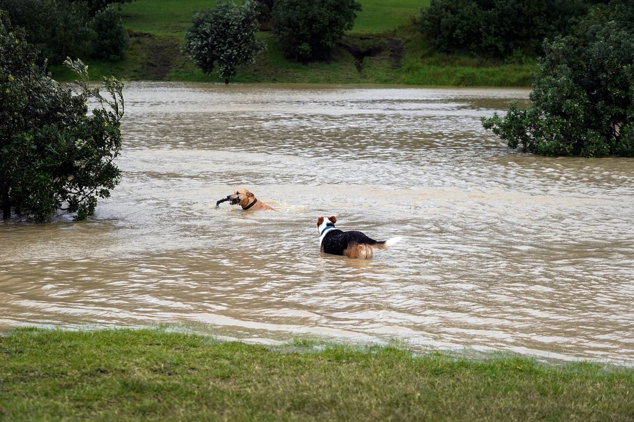Luego de la fuerte tormenta trópical, el gobierno de Nueva Zelanda declaró el estado de emergencia. Foto: AFP.