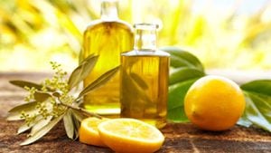 El aceite de limón se usa para tratar molestias como náuseas y mareos. Foto: Getty Images.