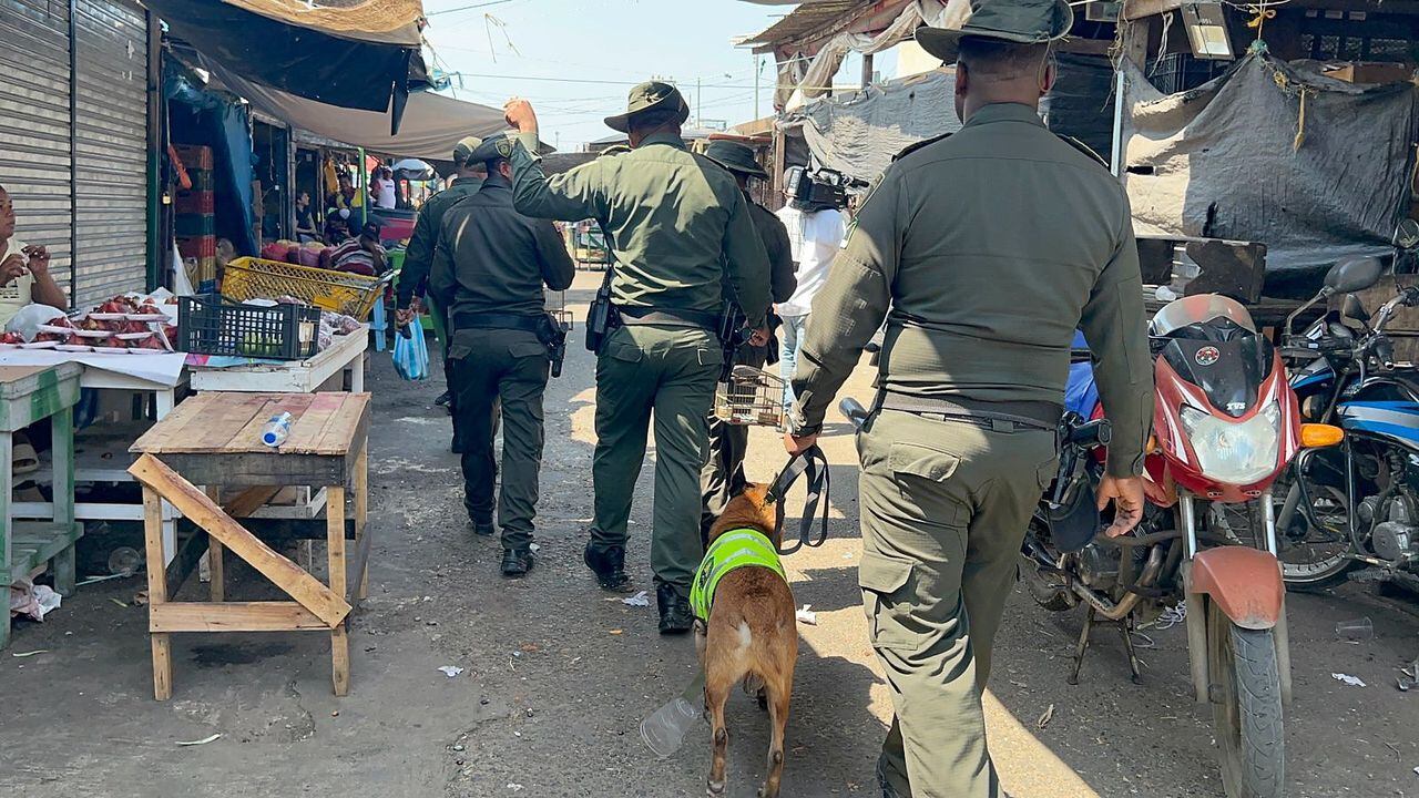 Kalet perro policía en medio de un operativo en el Mercado de Bazurto de Cartagena