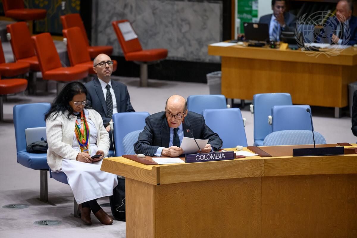 Leyva agradeció al Consejo de Seguridad por el respaldo a la paz en Colombia.