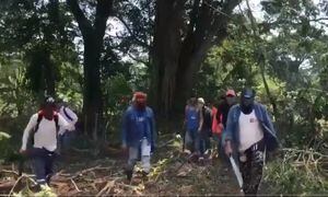 Video compartido por el presidente de Fedegan deja en evidencia del actuar de algunos invasores de tierras en Colombia