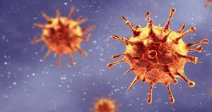 Los expertos coinciden en que nunca se había visto un virus como el SARS-CoV-2. Foto: Getty. 