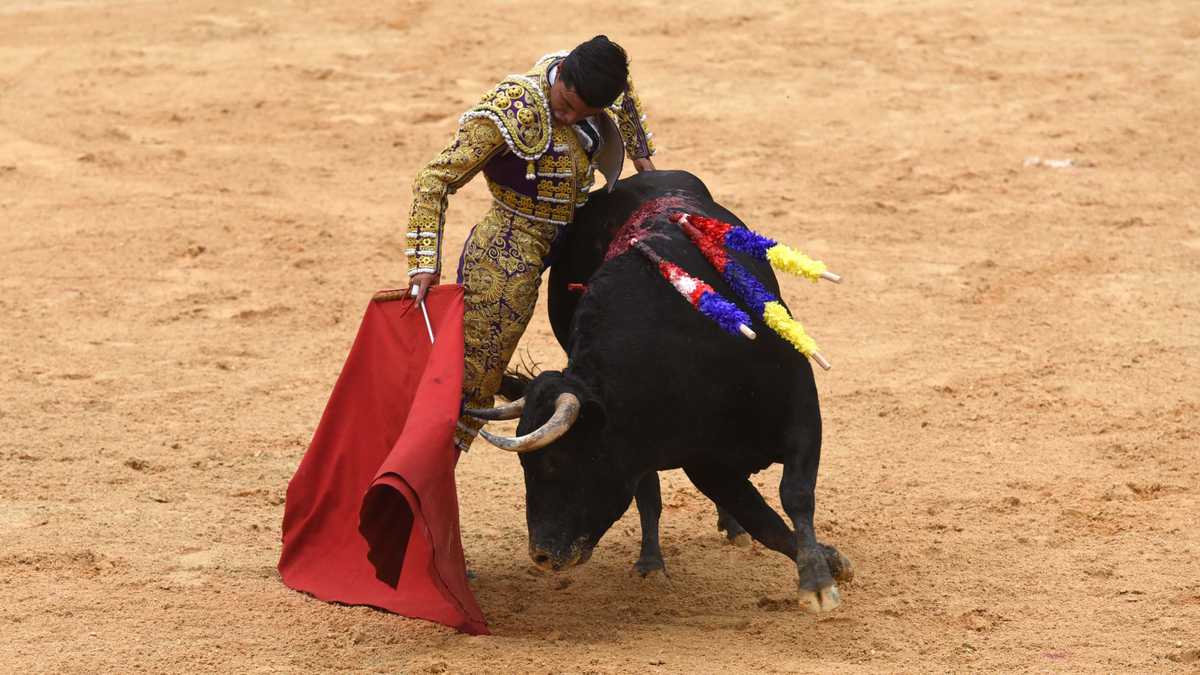 Gitanillo de América II, novillero de Bogotá. Cali, 11 de diciembre de 2021.