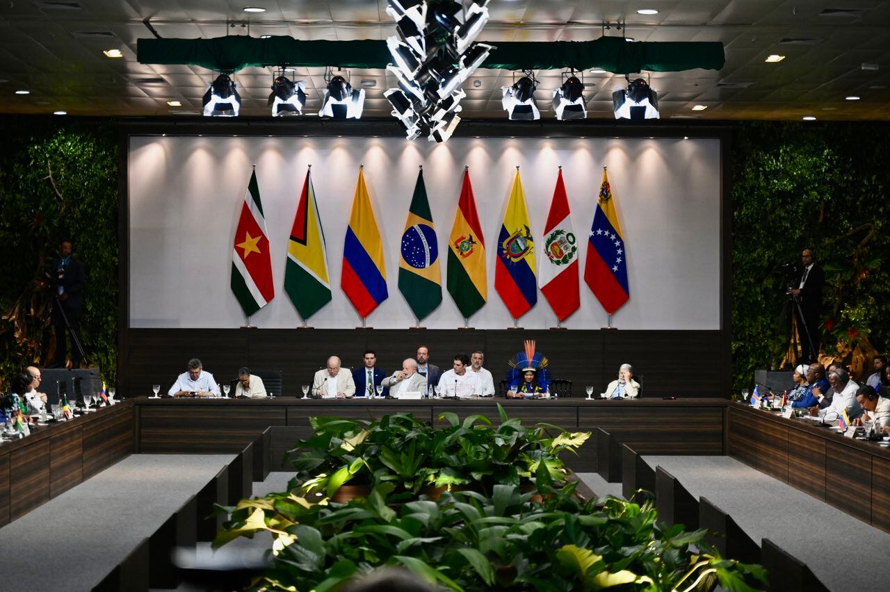 Ocho países sudamericanos acordaron el martes lanzar una alianza para combatir la deforestación en el Amazonas, prometiendo en una cumbre en Brasil evitar que la selva tropical más grande del mundo llegue a "un punto sin retorno".