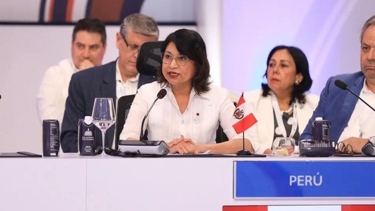 La ministra de Exteriores de Perú, Ana Cecilia Gervasi aseguró, en el marco de ese evento, que “si Pedro Castillo no está hoy aquí, es porque dio un golpe de Estado”.