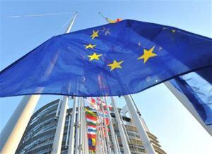 Aseguran que si la Eurocámara da su visto bueno a la entrada en vigor del tratado, "la reputación de la UE como fuerza líder en la promoción de los derechos humanos y libertades fundamentales se vería dañada".