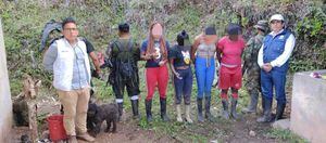 4 mujeres liberadas en Cauca