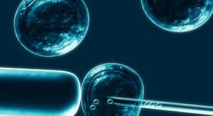 Las células madre humanas  creadas por clonación pueden convertirse en cualquier tejido del cuerpo y por lo tanto regenerar órganos dañados.