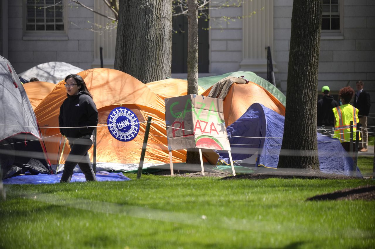 En la universidad UCLA, en Los Angeles, más de 200 estudiantes instalaron un campamento con unas 30 tiendas de campaña, rodeado de pancartas.