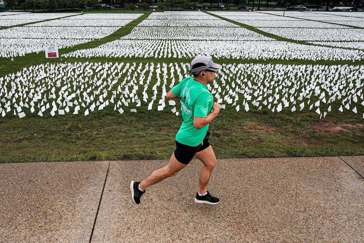 En Imágenes. Mas de 600.000 banderas Blancas se encuentran en el National Mall en Washington.