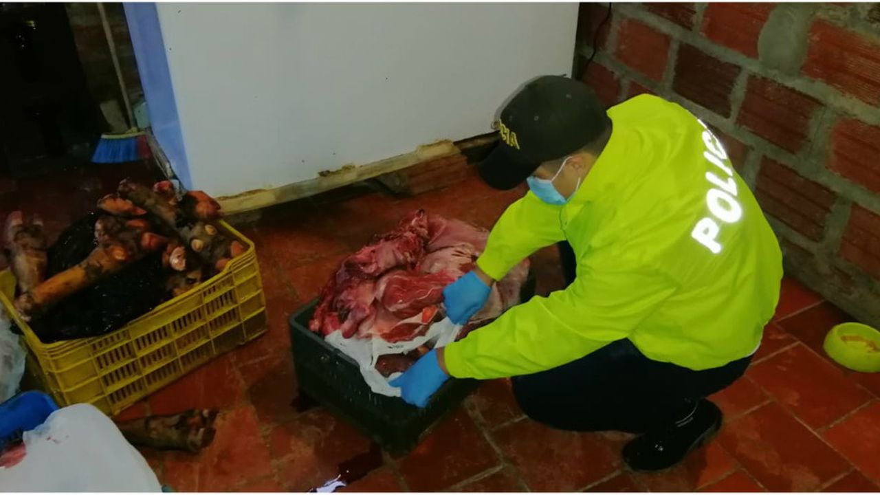 La carne podrida hallada por las autoridades