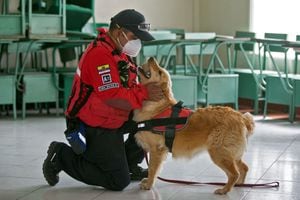 Miembros humanos y caninos de la Cruz Roja, Bomberos, Ejército y Marina de Ecuador hacen parte del primer curso experimental para olfatear el covid-19