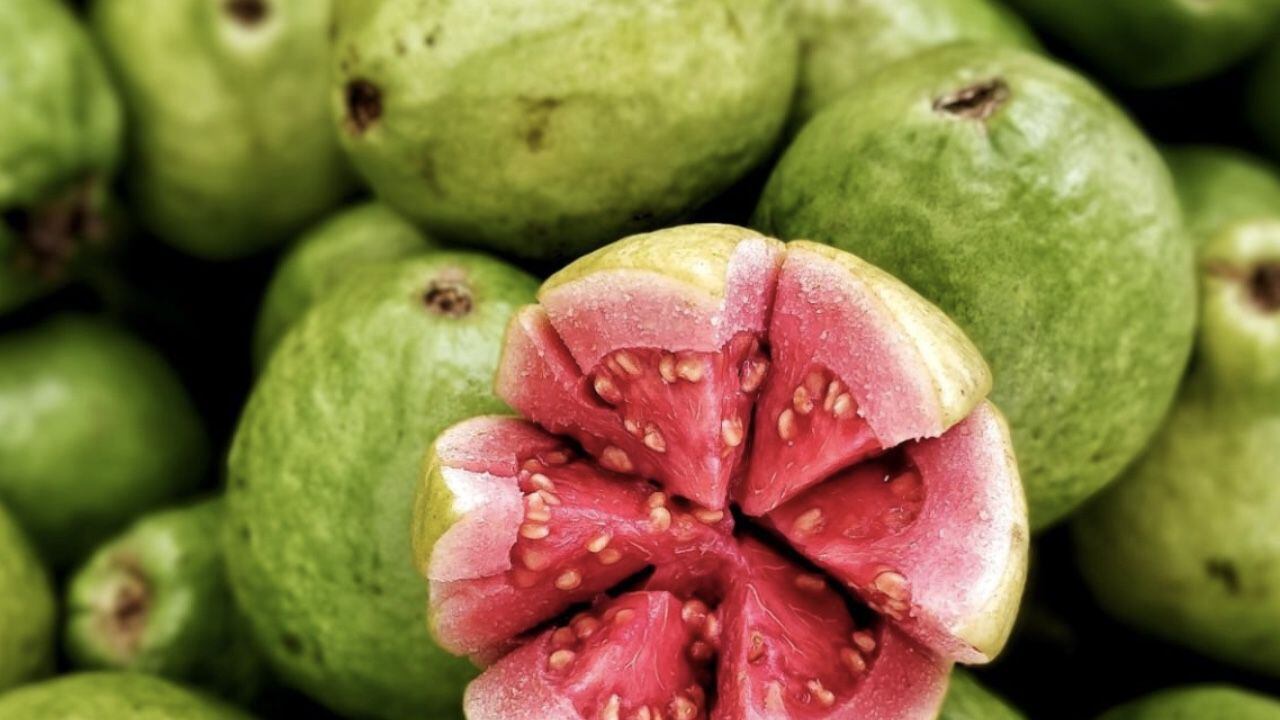 La guayaba es una fruta rica en vitamina C, incluso tiene mucha más que la naranja