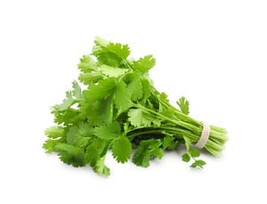 El cilantro es una hierba aromática que brinda diversos beneficios al organismo.