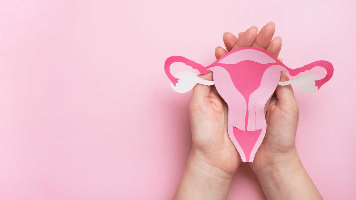 Woman hands holding decorative model uterus on pink background. Top view, copy space