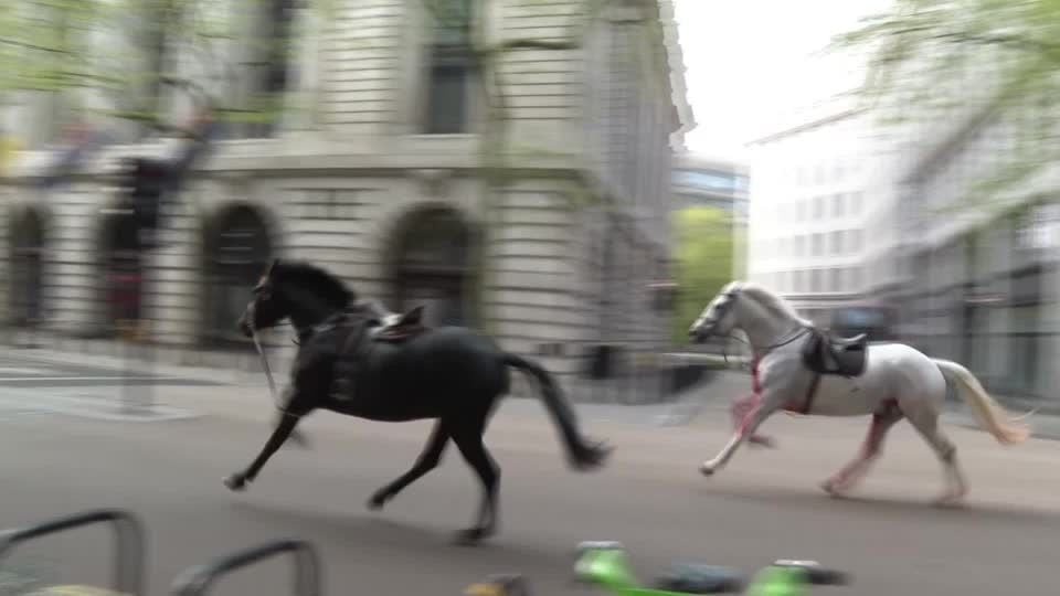 Caballos corren en las calles de Londres