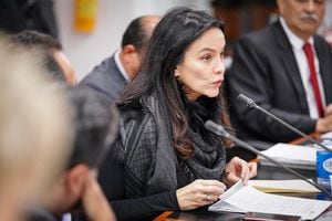 Luz María Zapata, directora ejecutiva de Asocapitales, está en el cargo desde 2018