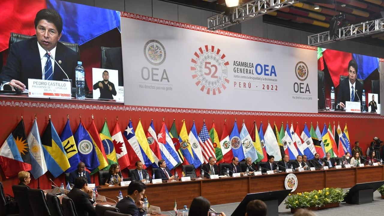 Once estados miembros de la OEA abogan por eliminar el reconocimiento a delegado del Gobierno Guaidó.