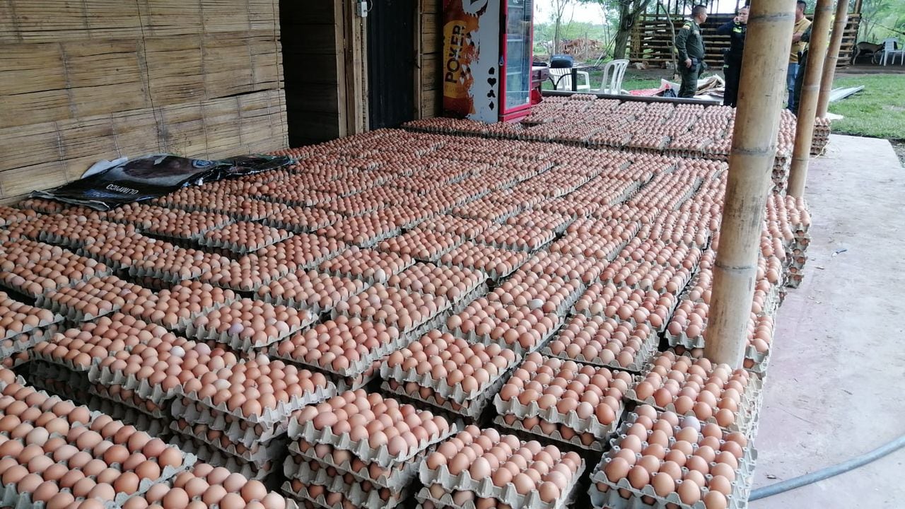 Los 85.000 huevos están avaluados en 75 millones de pesos.