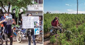   Un cocalero puede ganar más de un millón de pesos mensuales. Para raspar la hoja de coca en 4 hectáreas, se requieren 18 personas, que recolectan 600 arrobas. 