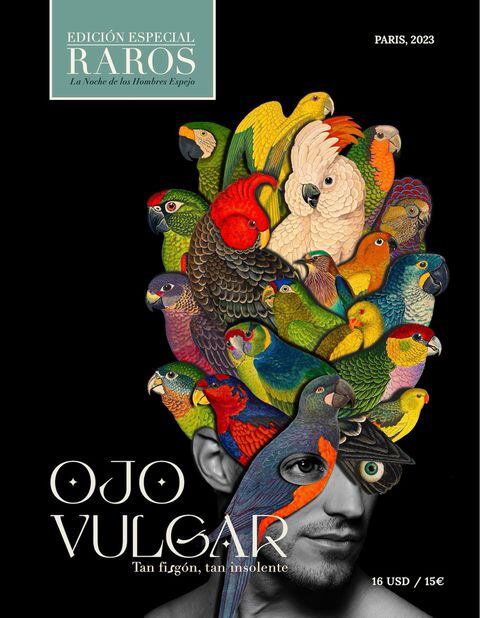 Ojo Vulgar nació en el año 2009, y presenta una serie de análisis estéticos, textos libres, así como ensayos culturales de opinión sobre el cine y las artes en general.