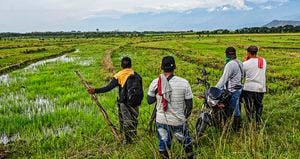    El enfrentamiento  entre indígenas y afros ha sido uno de los capítulos más lamentables en esta lucha por la tierra del norte del Cauca. No hay tregua. 