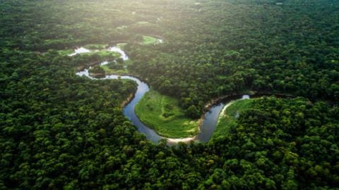 Informe de la Interpol advierte sobre la minería ilegal de oro y la destrucción que esta ocasiona en el Amazonas.