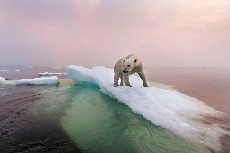Cambio climático (Foto Getty)
