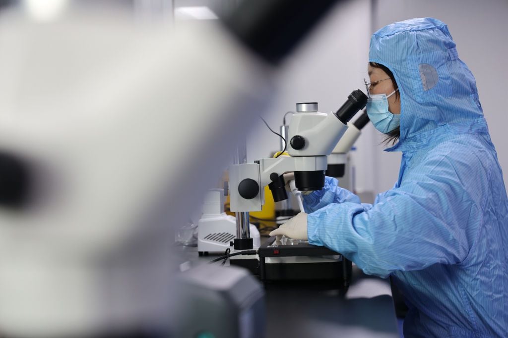 Un investigador observa un ovocito de vaca bajo un microscopio en un laboratorio de una empresa de biotecnología en Binzhou, provincia de Shandong, en el este de China, 26 de marzo de 2024. (El crédito de la foto debe ser CFOTO/Future Publishing vía Imágenes falsas)