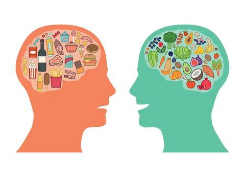 Cerebro y comida