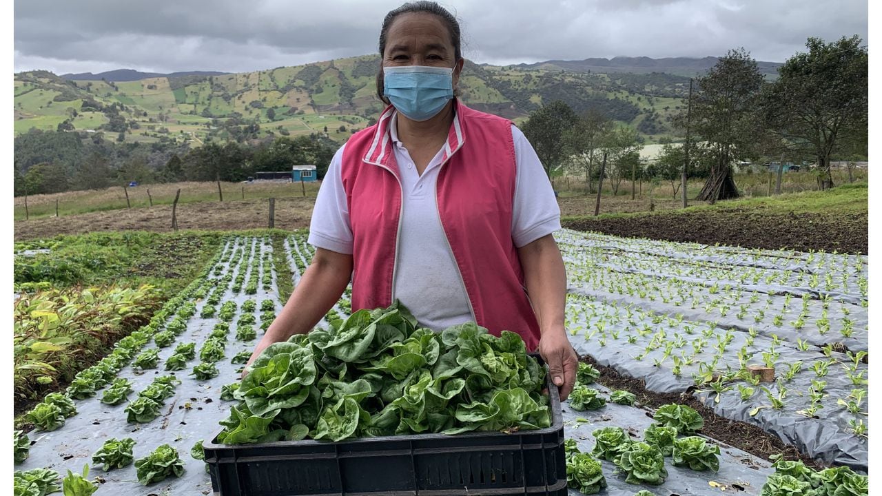 María Hilda Ramírez, una de las emprendedoras de la zona rural de Bogotá que ofrecerá sus productos en el mercado que se llevará a cabo en Plaza de las Américas.