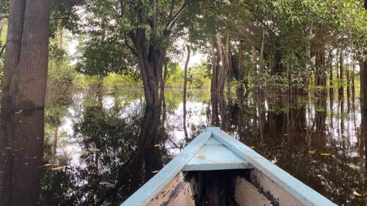 ¿Cómo impacta la lluvia en la Amazonia el vaso de agua que se sirve en Bogotá?